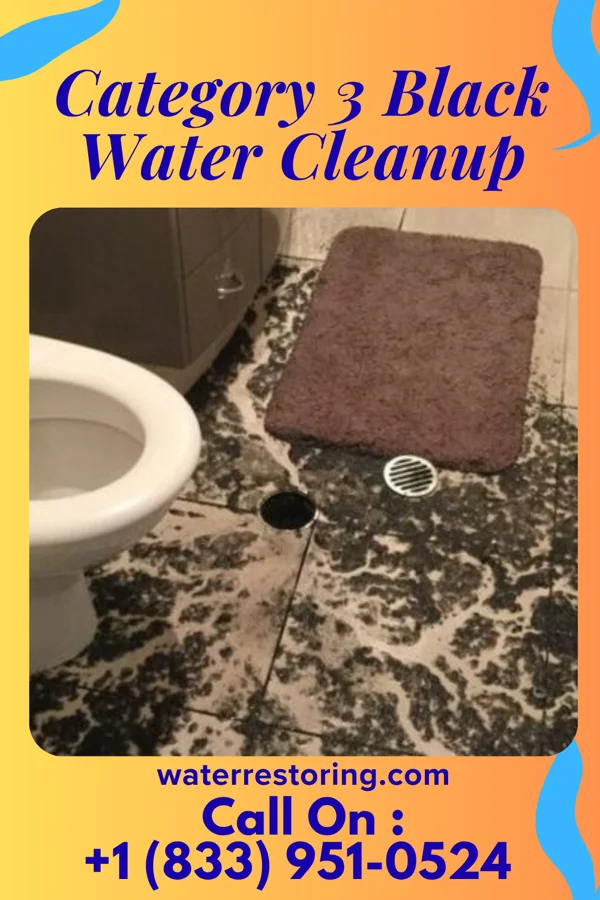 Category 3 Black Water Cleanup in Lorenz Park, NY