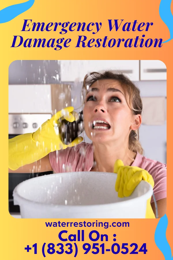 Emergency Water Damage Restoration in Lorenz Park, NY