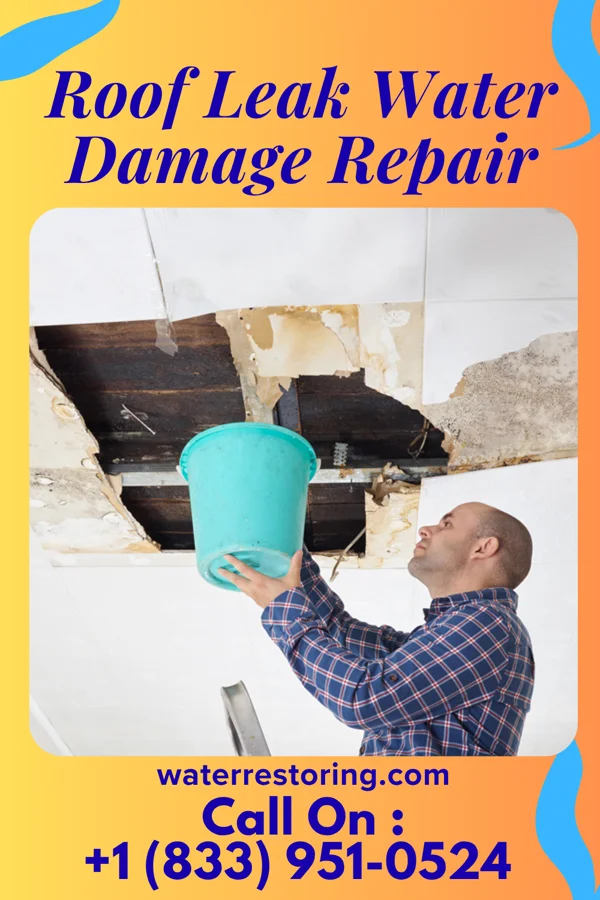 Roof Leak Water Damage Repair in Lorenz Park, NY