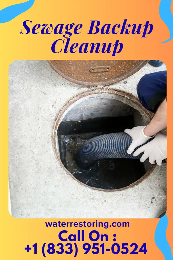 Sewage Backup Cleanup in Lorenz Park, NY