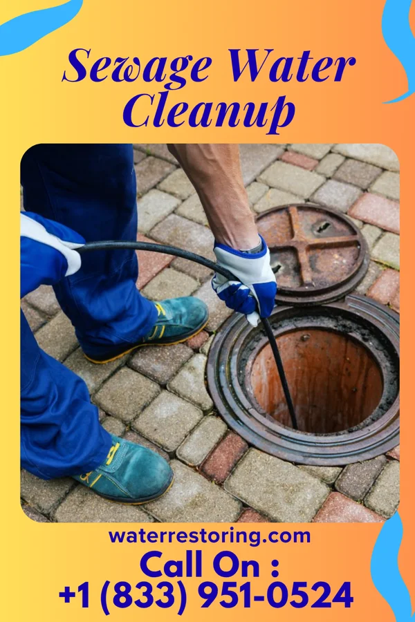 Sewage Water Cleanup in Lorenz Park, NY